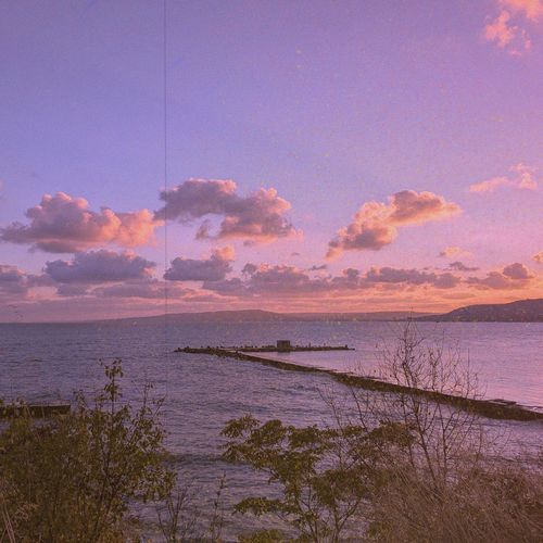 Thorne cover art