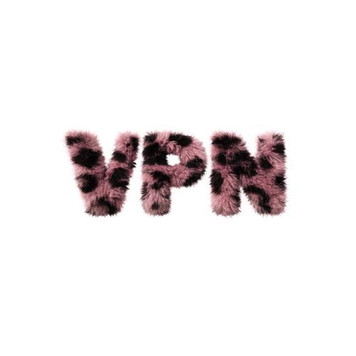 VPN