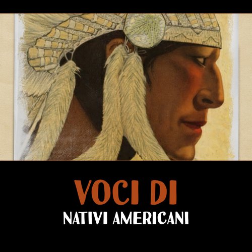 Saggezza nativa cover art