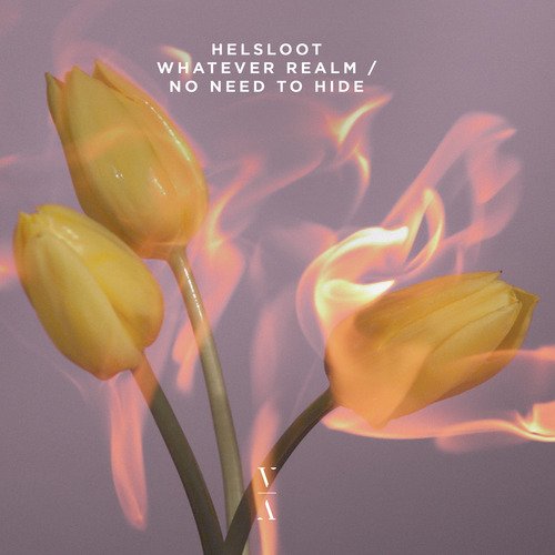 Whatever Realm / No Need To Hide