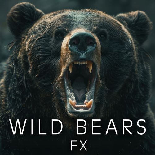 Bear Walking On Frozen Ground cover art
