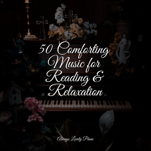 50 Comforting Music for Reading & Relaxation