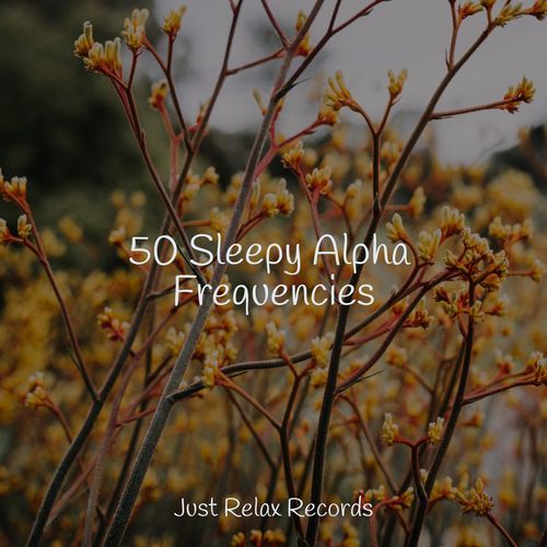 50 Sleepy Alpha Frequencies_poster_image