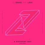 A Different Way (Kayzo Remix)