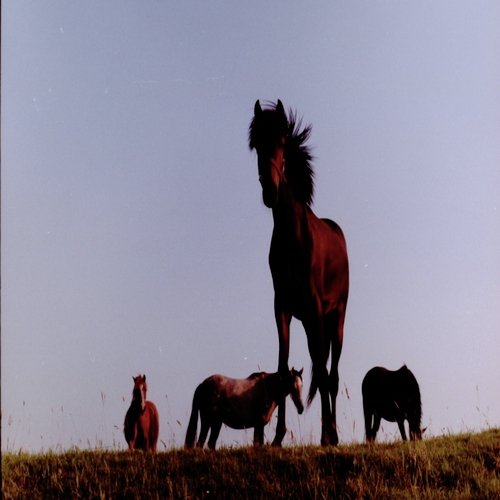 Xmas Again cover art