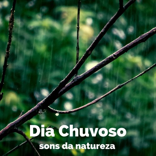 Dia Chuvoso_poster_image