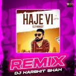 Haje Vi (Remix)
