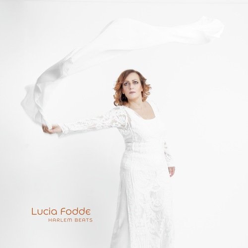 Mood Indigo cover art
