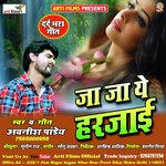 Ja ja ye harjai (Sad song)