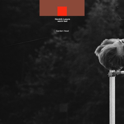 Jonas cover art