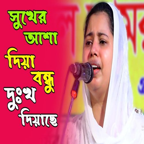 সুখের আশা দিয়া বন্ধু দুঃখ দিয়াছে