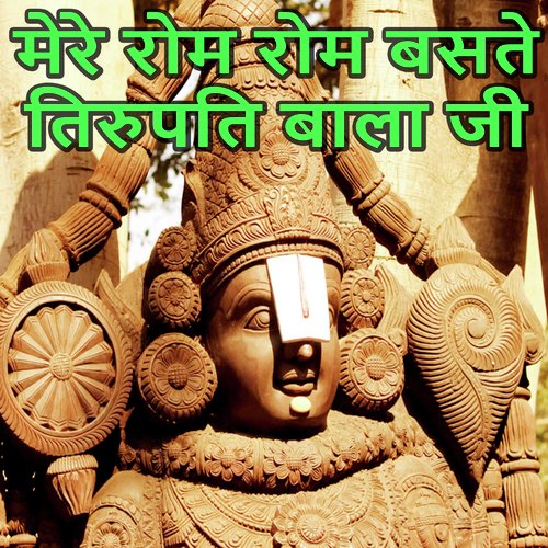 Mere Rom Rom Basate Tirupati Bala Ji (Lord Vishnu Bhajan)