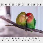 Morning Birds Nature Sounds