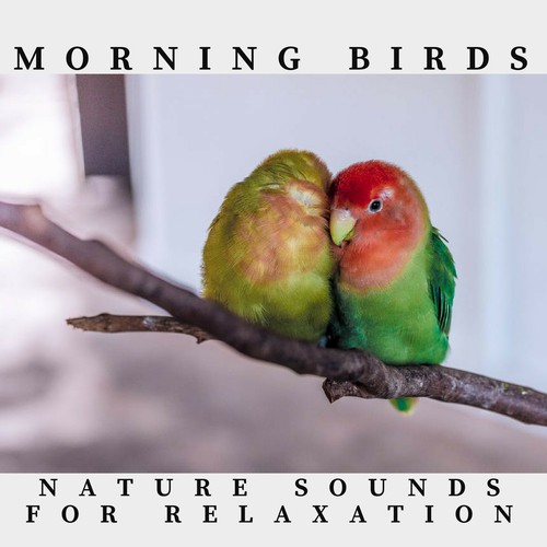 Morning Birds Nature Sounds_poster_image