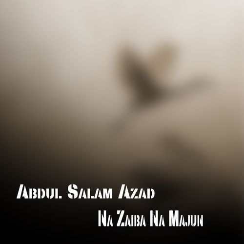 Na Zaiba Na Majun