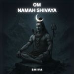 Om Namah Shivaya