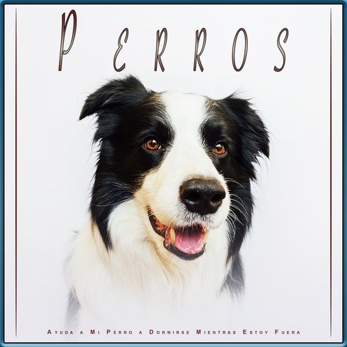 Ansiedad De Los Perros cover art