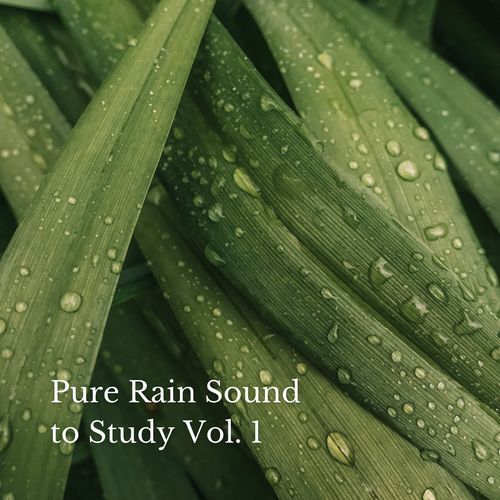 Pure Rain Sound to Study Vol. 1