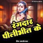 Rangdar Pilibheet Ke