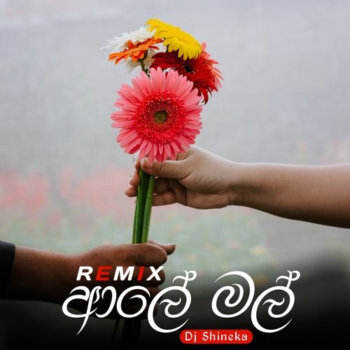 ආලේ මල් (Remix)