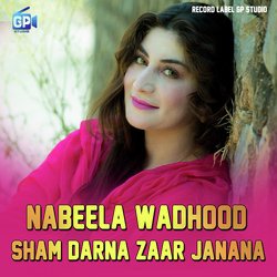 Sham Darna Zaar Janana