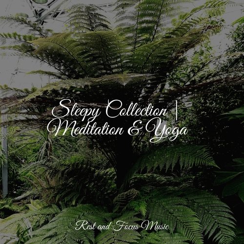 Sleepy Collection | Meditation & Yoga