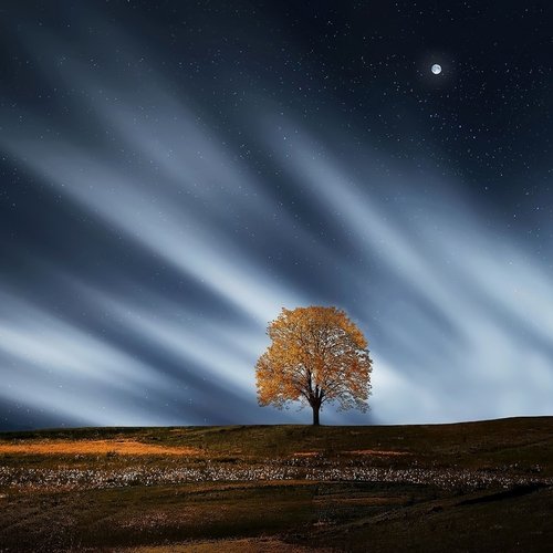 Sleepy Sounds | Mindfulness & Meditation
