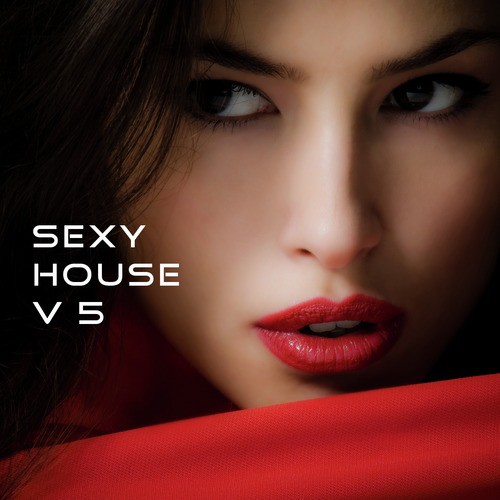 Soul Shift Music: Sexy House, Vol. 5