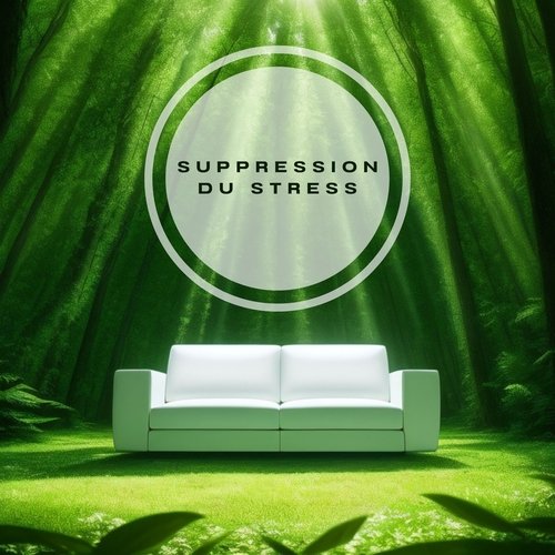 Suppression du Stress: Musique Relaxante et Méditation Apaisante_poster_image