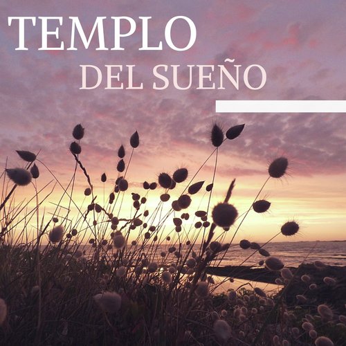Sueño Profundo cover art