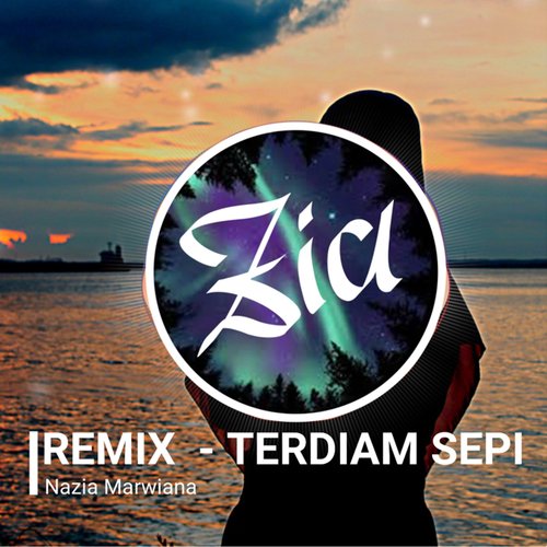 Terdiam Sepi (Remix)