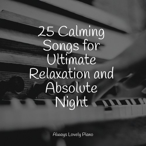 25 Calming Songs for Ultimate Relaxation and Absolute Night