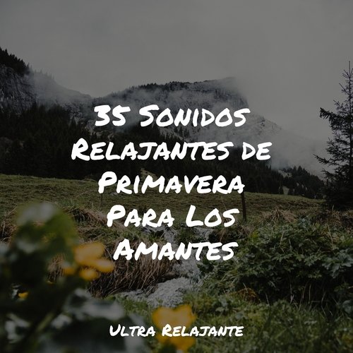 35 Sonidos Relajantes de Primavera Para Los Amantes