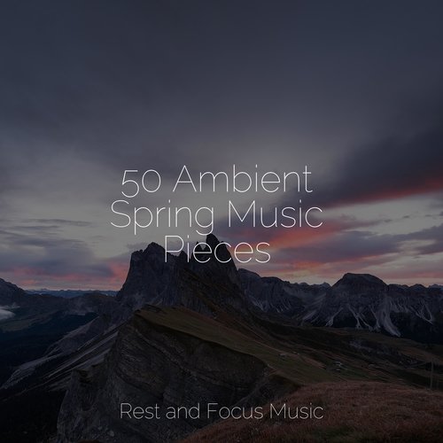 50 Ambient Spring Music Pieces_poster_image