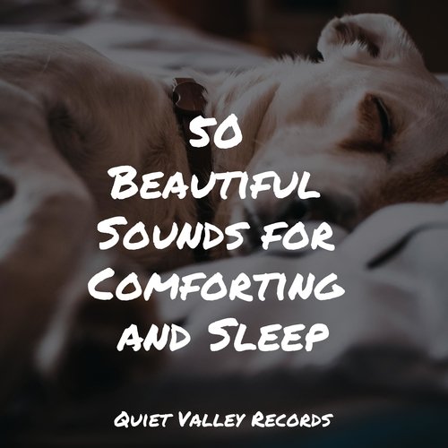50 Beautiful Sounds for Comforting and Sleep