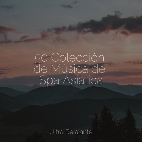 50 Colección de Música de Spa Asiática