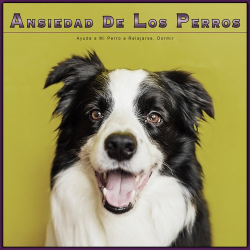 Ayuda a Mi Perro a Relajarse cover art