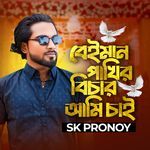 Beiman pakhir bichar ami chai