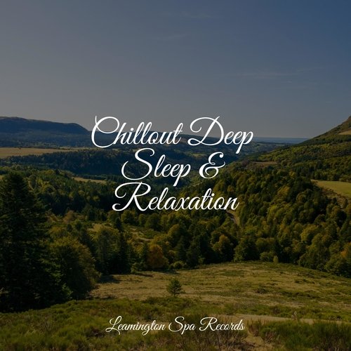 Focused, Relaxed cover art
