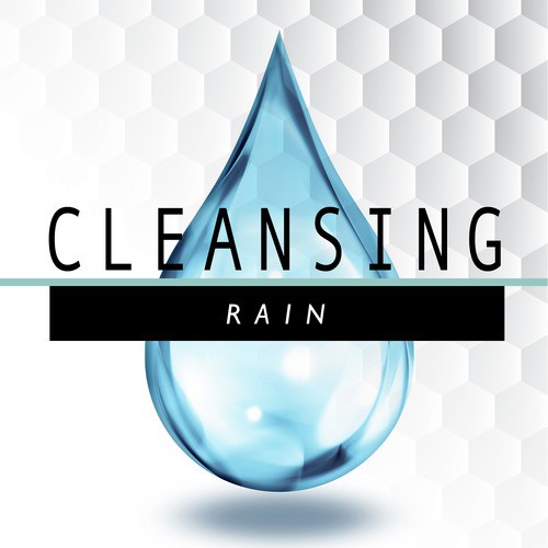 Cleansing Rain_poster_image