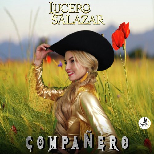 Compañero_poster_image