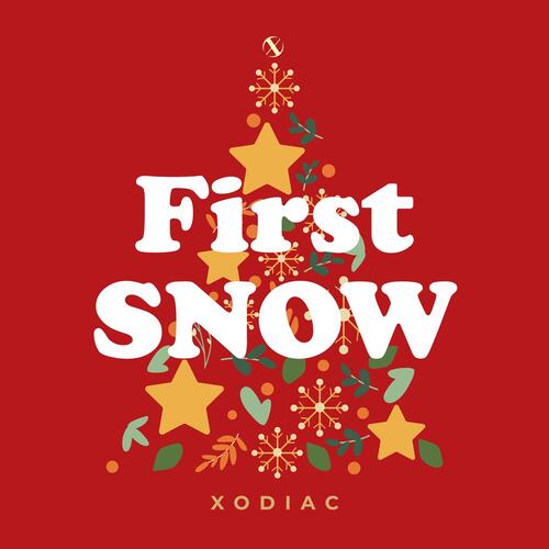 FIRST SNOW cover art