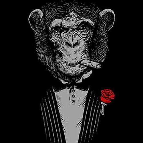 _'FUNKY MONKEY'_ cover art