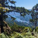 Local Minima (Single)