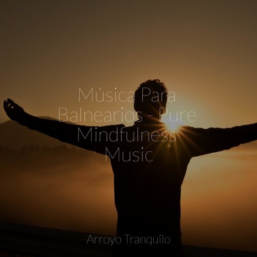 Música Para Balnearios - Pure Mindfulness Music_poster_image