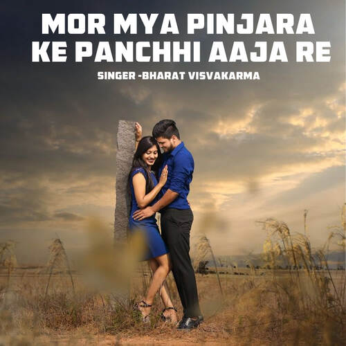 Mor Mya Pinjara Ke Panchhi Aaja Re