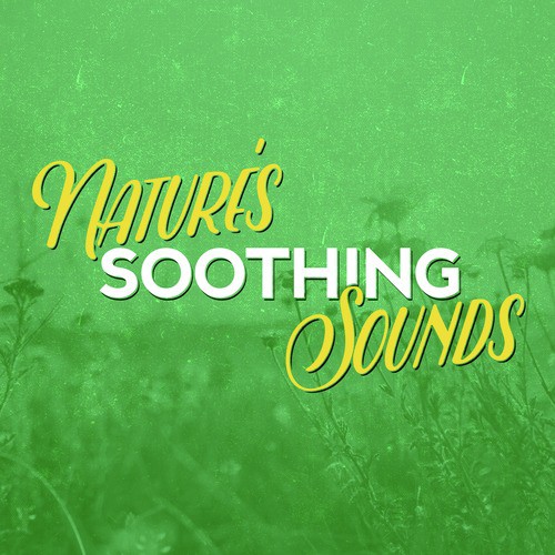 Nature's Soothing Sounds