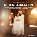 Ni Teri Adaayein