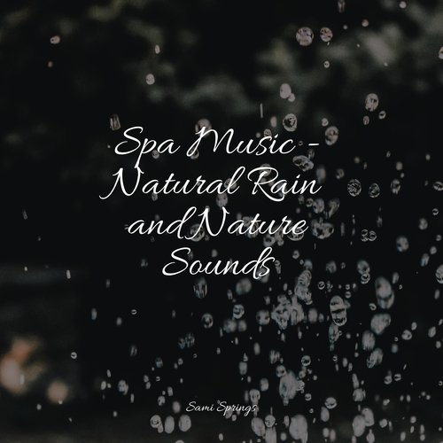 Spa Music - Natural Rain and Nature Sounds_poster_image