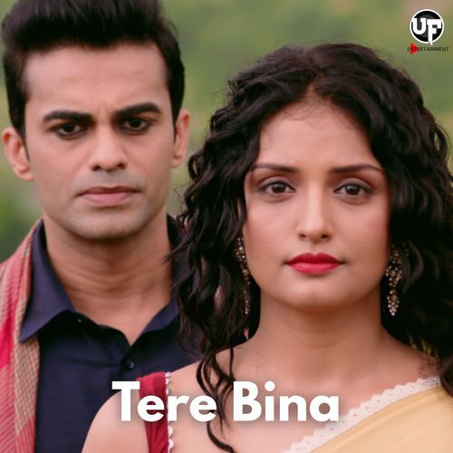 Tere Bina